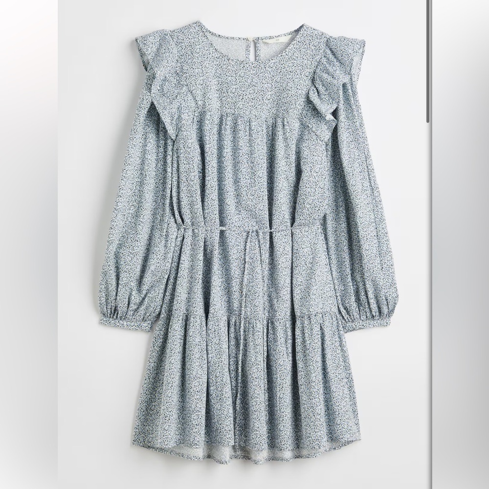 H&M Long Sleeve Floral Dress